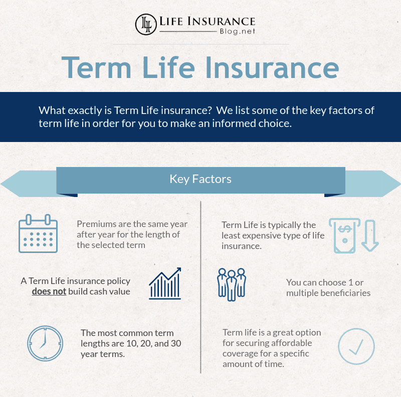 Best Term Life Insurance Insurance Term Year Policy Rates Casca Grossa