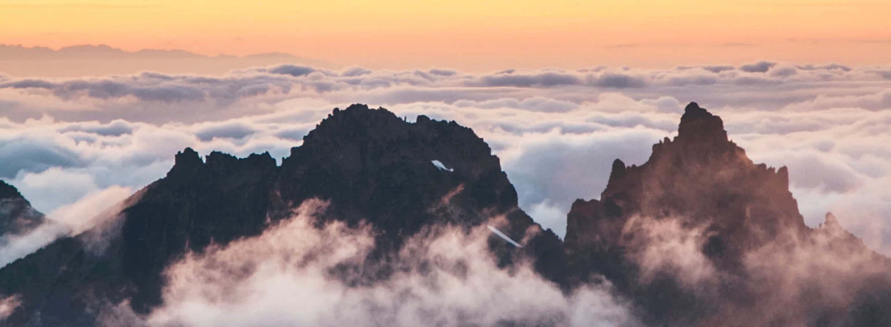 Nationwide Life Insurance pany Reviews